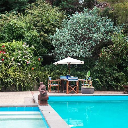 Seahurst Apartment Eskdale 外观 照片