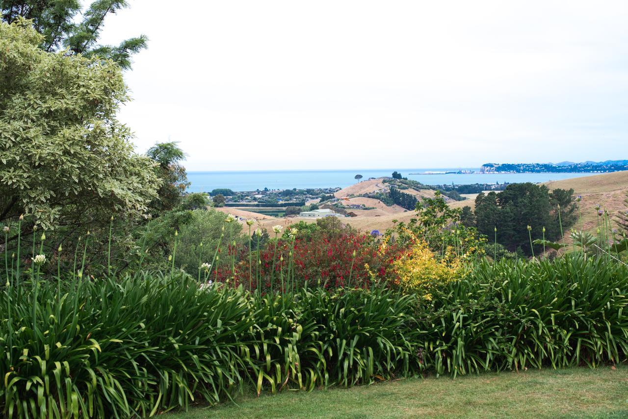 Seahurst Apartment Eskdale 外观 照片